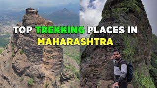 Top 10 Trekking Places In Maharashtra | Best Monsoon Treks In Maharashtra | Maharashtra Forts