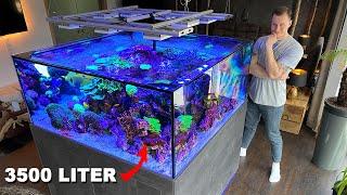 GERMAN REEF TANKS - massive saltwater aquarium 920 gallon *private tour*