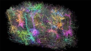 Безумная теория сознания всё объясняет! Теперь понятно что это такое