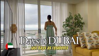 DUBAI  | Last few days in the city, cancelling our residency, shopping, dining | MiCHEL 