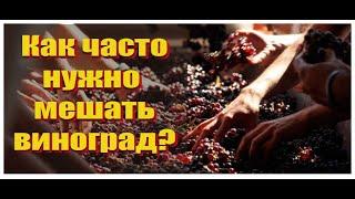 Домашнее вино - как часто нужно перемешивать вино?