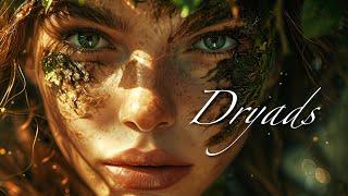 Dryads: Guardians of the Forest | Greek Mythology