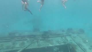 Snorkeling in Barbados near a shipwreck