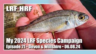 Episode 21: My 2024 LRF Species Hunt - Devon & Wiltshire