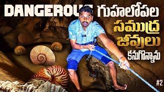 Hanging Coffins | Sumaguing Cave Sagada Philippines  | Uma Telugu Traveller
