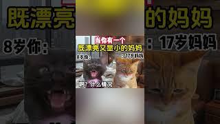 #猫meme #cheems小剧场 #搞笑 #貓meme小劇場 #funny #cat #貓meme #pets #animals #cute #寵物 #小故事 #小故事 #搞笑