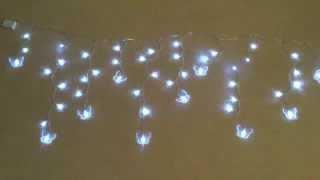 Butterfly LED lights