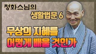 [청화스님의 생활법문] 6. 무상의 지혜를 어떻게 배울 것인가