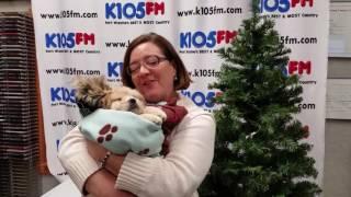 K105 PET OF THE WEEK