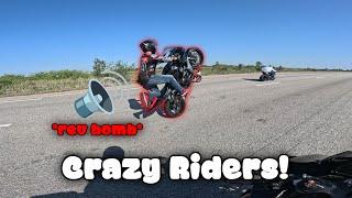 Crazy Miami Riders