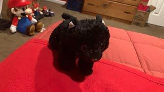 Wild republic black cat ‍⬛ toy review