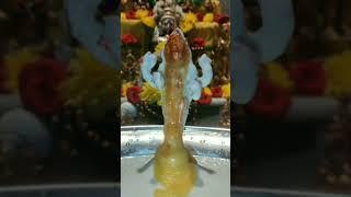 kalabhairava swamy  abhisheka
