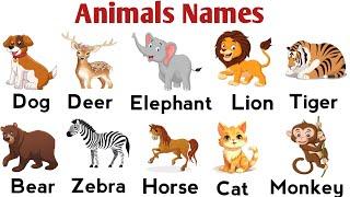 Animals Name Vocabulary Part 02 | Common Animals Name In English  | Common Words In English