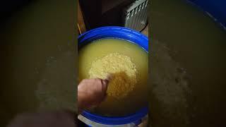 Брага на Мёде #брага #рецепты #самогонныйаппарат #самогон #еда #domspirt2