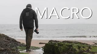 Macro Without Flash: Natural Light Settings and Tips