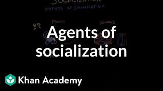 Agents of socialization | Behavior | MCAT | Khan Academy