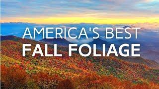 Peak Fall Foliage | 10 Best Cities to Visit in the USA this Autumn!