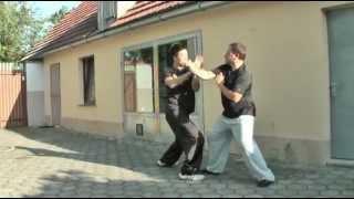 Taiji Tanglang Quan - Supreme Ultimate Praying Mantis Boxing