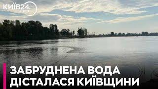 Забруднення Десни дісталося Київщини