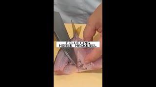 Filleting Horse Mackerel #shorts @tokyosushiacademyenglishcourse
