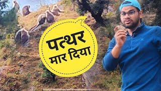 लंगूरों का आतंक || uttarakhand village life || Akki ke Vlogs