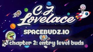 Spacebudz NFT Chapter 2 - Entry Level Budz