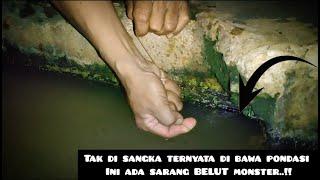 Perlawanannya bikin panik Mancing belut monster di bawah pondasi..!!