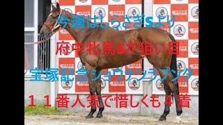 今週はしらさぎSよりも府中牝馬Sが狙い目 １１番人気ショウナンラプンタ惜しくも４着