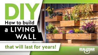 How to Build a Living Wall and Bring Elements of Biophilic Design into Your Home - RealCedar.com