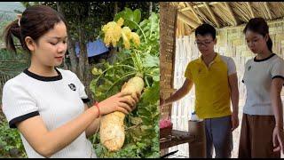 The Kind Boy Comes to Visit - Bringing White Radish to the Market to Sell - Daily Life Part 2