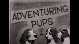 Adventuring Pups 1948 High Definition Educational Film Puppies Dogs meet Animals on a Farm