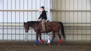 Posting The Trot --  5 Minute Horse Lessons