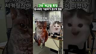 간부 계급별 특징 #shorts #군대