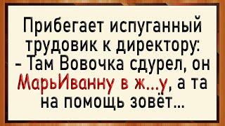 Как Вовочка двойку исправлял! Сборник свежих анекдотов! Юмор!