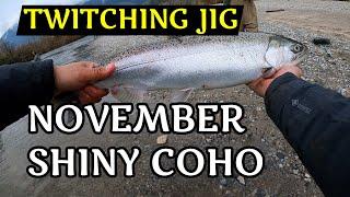 Chasing Shiny Coho Salmon in the Fraser Valley