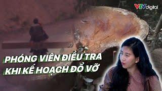 Phóng viên điều tra: Khi kế hoạch đổ vỡ | VTV24