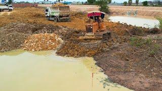 Great Job !! Showing skiller Operator Bulldozer Working Push Mud and dump truck unloading soil.