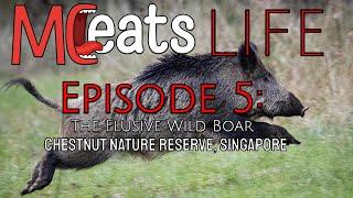 Chestnut Nature Reserve, Singapore | S01E05 | MC Eats Life