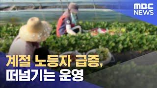 계절 노동자 급증, 떠넘기는 운영 (2024.01.14/뉴스데스크/MBC경남)