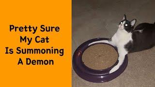 50 Pics Proving That Cats Are Actually Demons - Cat lover