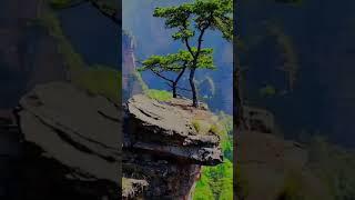 beautiful natural scenes