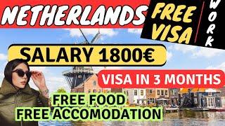 NETHERLANDS FREE WORK VISA FOR INDIAN, PAKISTANI, BANGLADESHI and NEPALIS