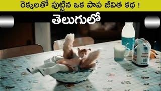 రెక్కలతో పుట్టిన పాప జీవిత కథ | Eep! (2010) Movie Explained In Telugu | Mee Maa Cinema