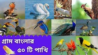 গ্রাম বাংলার ৫০ টি পাখি | Bengali Bird Name | Birds of Bengal | Bangla Name | পাখির বাংলা নাম