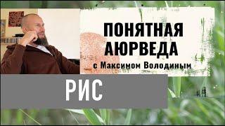 Как правильно есть рис и какой: довольная микрофлора и сытые соседи