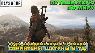 Орды, засадные лагеря, громилы, спринтеры и др. Путешествую по миру Days Gone (Жизнь После).