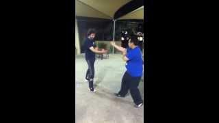 White crane vs wing chun