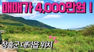 [전남토지매매] 매물번호#408 매매가 4,000만원 전원주택부지 및 주말농장부지 매매 ! 장흥군 대덕읍 연지리 촌땅 시골땅 시골집 촌집 매매