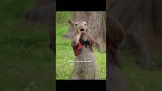 Peter:that is my character flaw #movie #shorts #tvshow