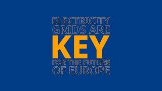 #GridsEmpower Families | Patrick ten Brink, European Environment Bureau